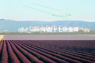 沧州中国十七块金牌