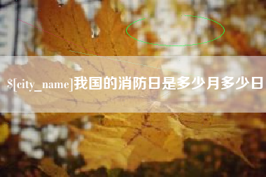 沧州我国的消防日是多少月多少日
