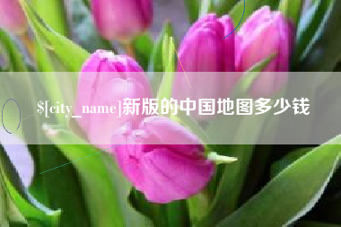 沧州新版的中国地图多少钱