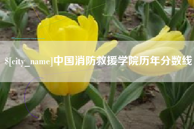 沧州中国消防救援学院历年分数线
