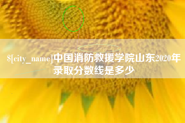 沧州中国消防救援学院山东2020年录取分数线是多少