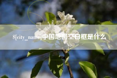 沧州中国地图空白框是什么
