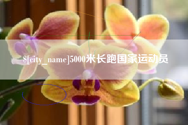 沧州5000米长跑国家运动员