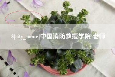 沧州中国消防救援学院 老师