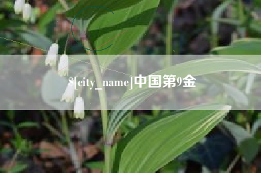沧州中国第9金