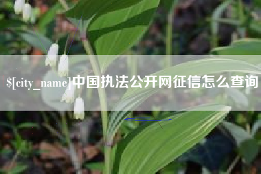 沧州中国执法公开网征信怎么查询