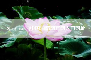 沧州中国消防网官网入口网址