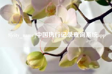 沧州中国执行记录查询系统app