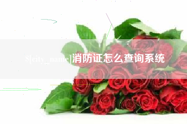 沧州消防证怎么查询系统