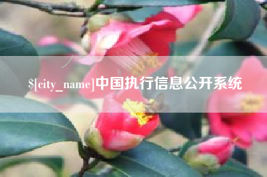 沧州中国执行信息公开系统