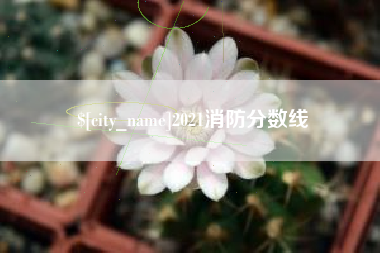 沧州2021消防分数线