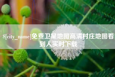 沧州免费卫星地图高清村庄地图看到人实时下载