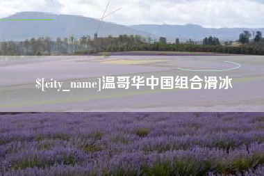 沧州温哥华中国组合滑冰