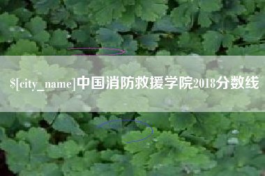 沧州中国消防救援学院2018分数线