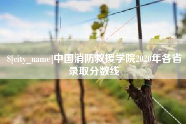 沧州中国消防救援学院2020年各省录取分数线
