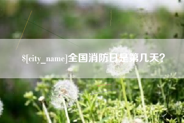 沧州全国消防日是第几天？
