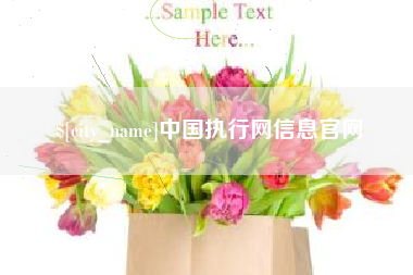 沧州中国执行网信息官网