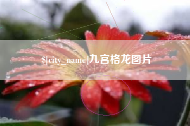 沧州九宫格龙图片