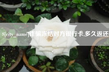 沧州诈骗冻结对方银行卡,多久返还