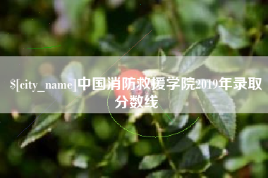 沧州中国消防救援学院2019年录取分数线