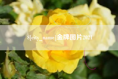 沧州金牌图片2021