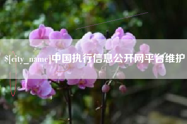 沧州中国执行信息公开网平台维护