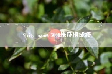 沧州5000米及格成绩