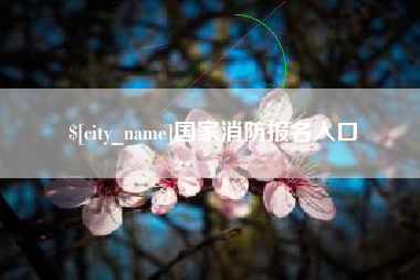 沧州国家消防报名入口