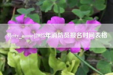 沧州2025年消防员报名时间表格