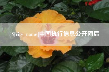 沧州中国执行信息公开网后