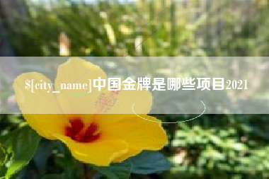 沧州中国金牌是哪些项目2021