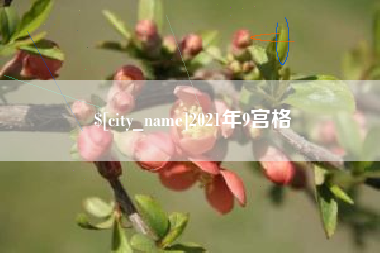 沧州2021年9宫格