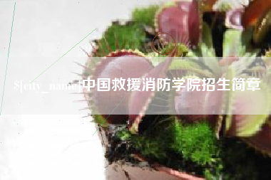 沧州中国救援消防学院招生简章