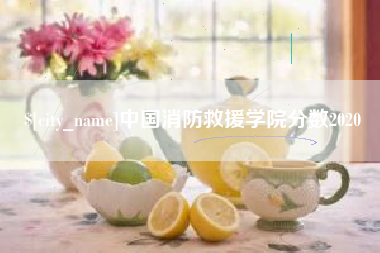沧州中国消防救援学院分数2020