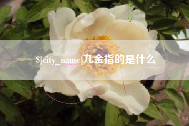 沧州九金指的是什么