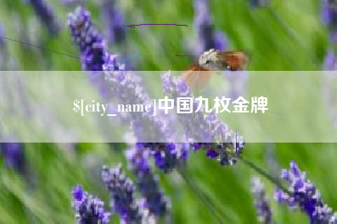 沧州中国九枚金牌