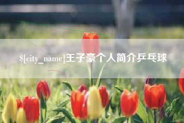 沧州王子豪个人简介乒乓球