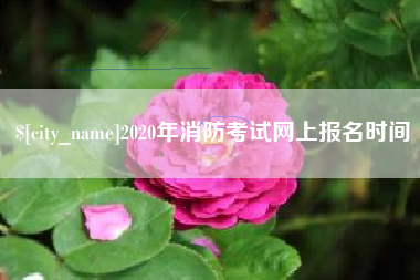沧州2020年消防考试网上报名时间