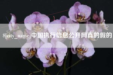 沧州中国执行信息公开网真的假的