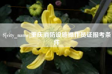 沧州重庆消防设施操作员证报考条件