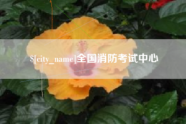 沧州全国消防考试中心