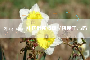 沧州中国消防救援学院属于985吗