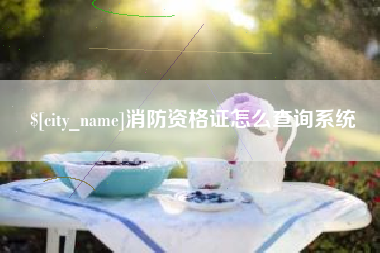 沧州消防资格证怎么查询系统
