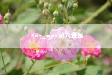 沧州第九金是