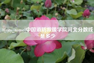沧州中国消防救援学院河北分数线是多少