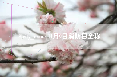 沧州11月9日消防日全称