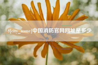 沧州中国消防官网网址是多少