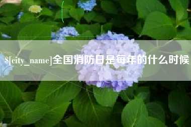 沧州全国消防日是每年的什么时候