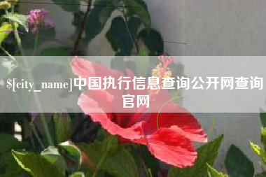 沧州中国执行信息查询公开网查询官网