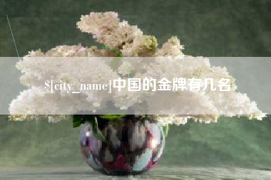 沧州中国的金牌有几名